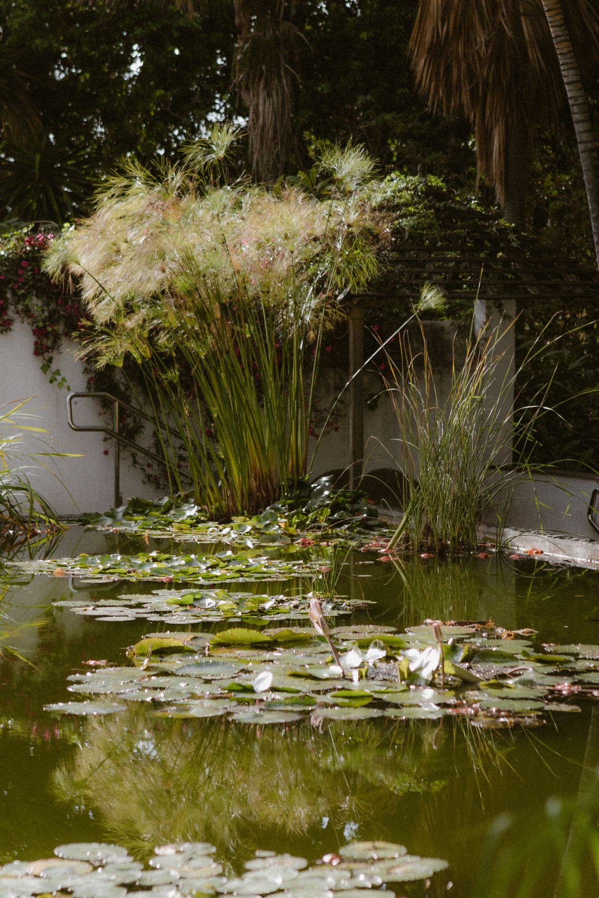 Bassin de jardin surélevé avec margelle large servant d'assise
